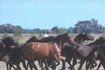 La Pampa