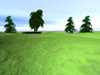 De verts paturages